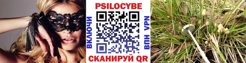 Галлюциногенные грибы мухоморы  продажа наркотиков  Южно-Сахалинск 